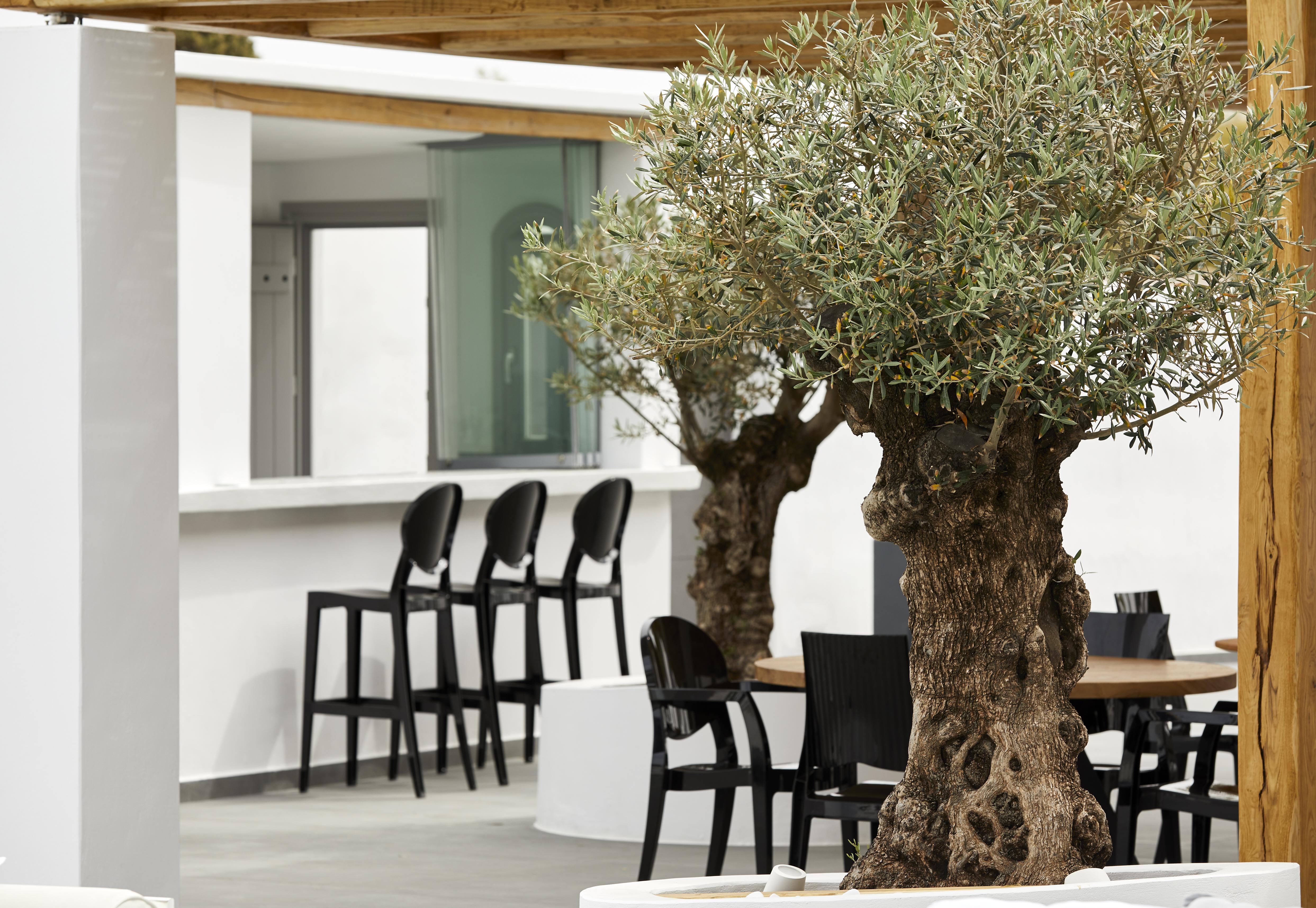 Kalisti Hotel & Suites Fira  Eksteriør billede